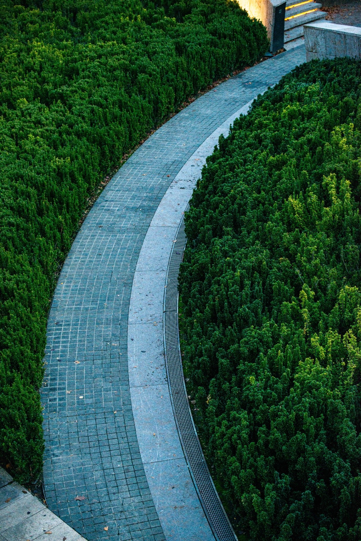 Allée pavée sinueuse