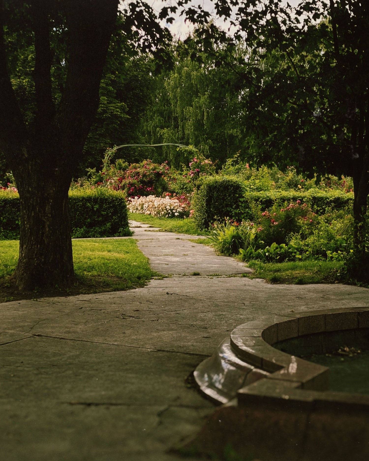 Jardin aménagé